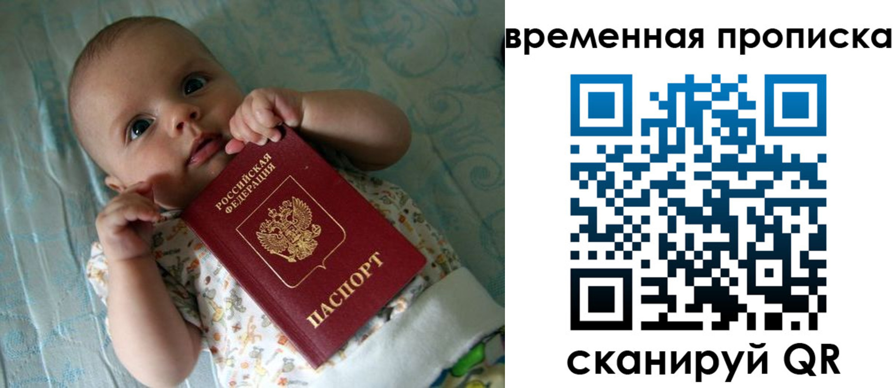 найти адрес прописки в Вельске